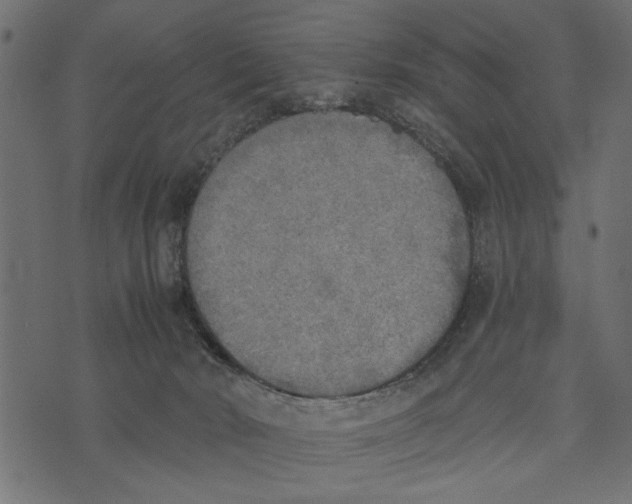 X0000072930030200608181327