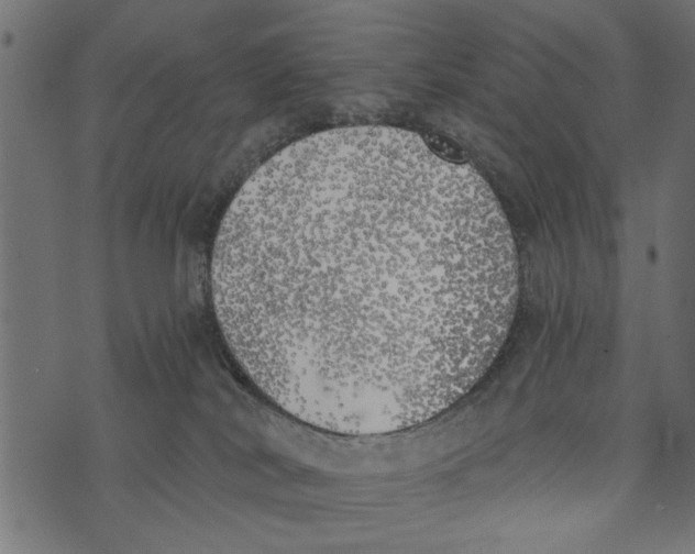 X0000072930038200608181327