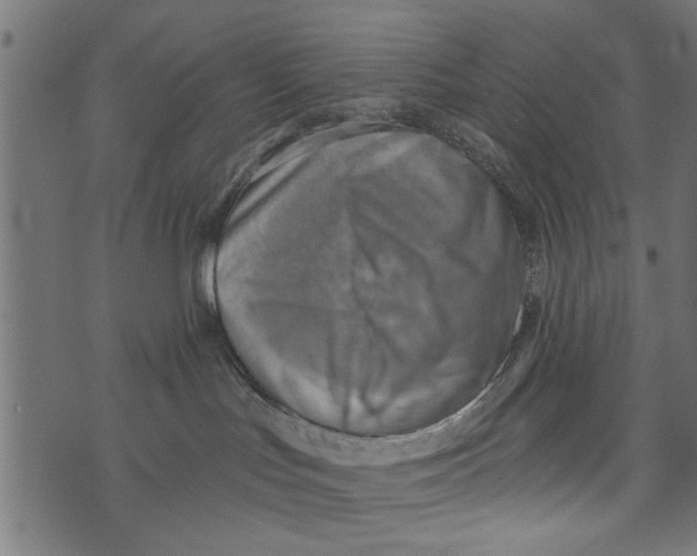 X0000072930047200608181327