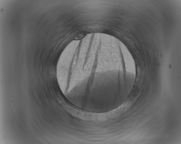 X0000072930048200608181327