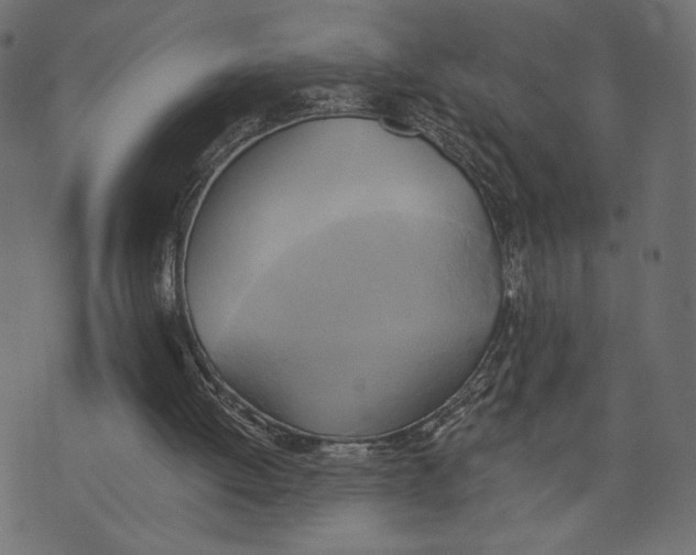 X0000072930052200608181326
