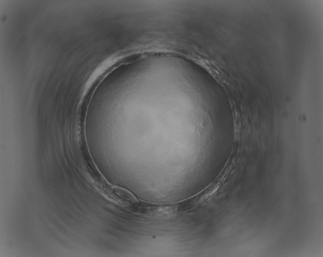 X0000072930056200608181326