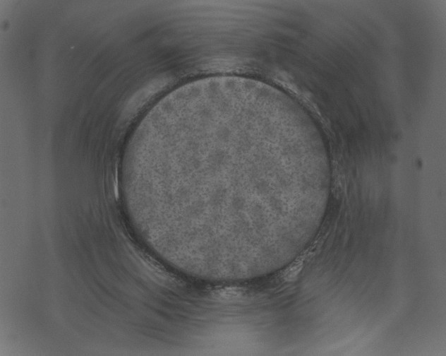X0000072930062200608181326