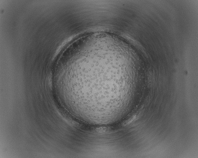 X0000072930064200608181326