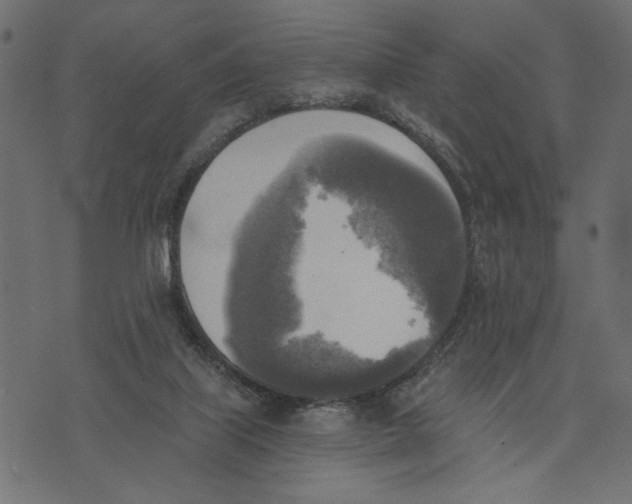 X0000072930067200608181326