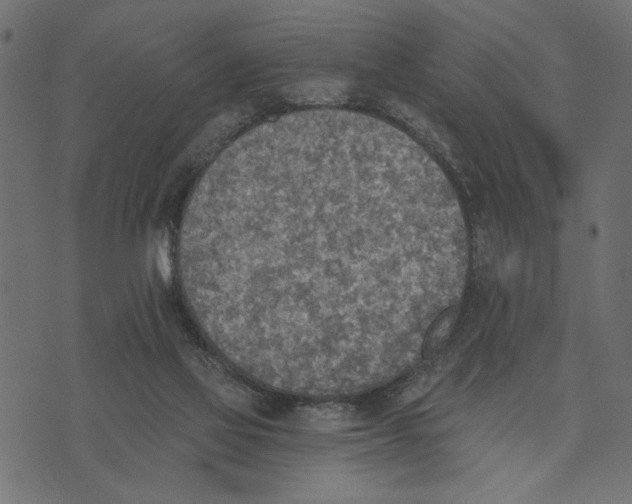 X0000072930069200608181326