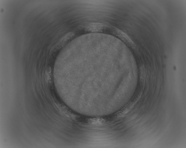 X0000072930073200608181326