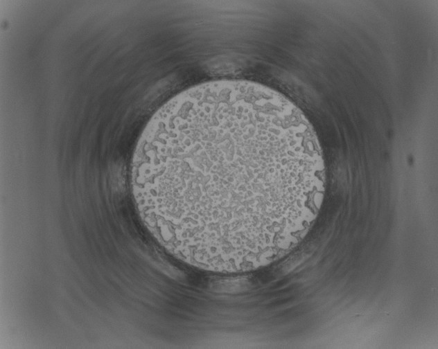 X0000072930081200608181327