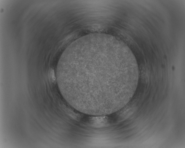 X0000072930089200608181327