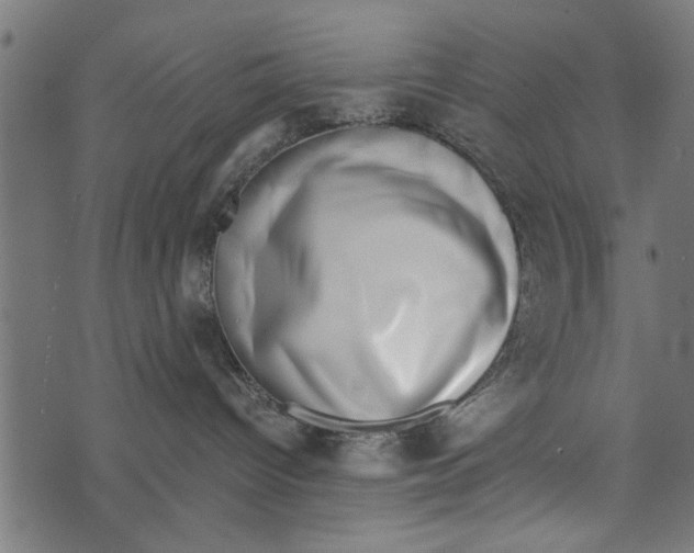 X0000072930096200608181327