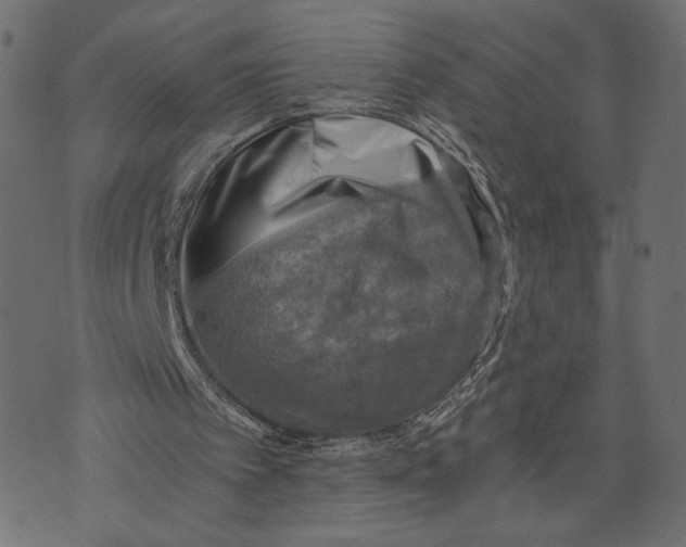 X0000072930097200608181326