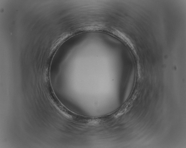 X0000072930105200608181326