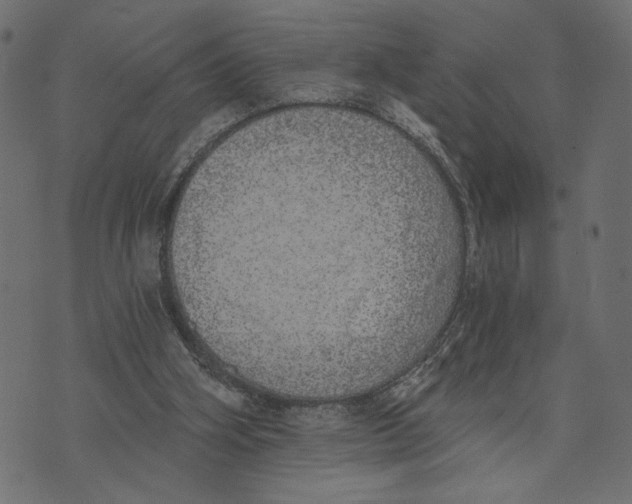X0000072930106200608181326