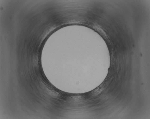 X0000072930108200608181326