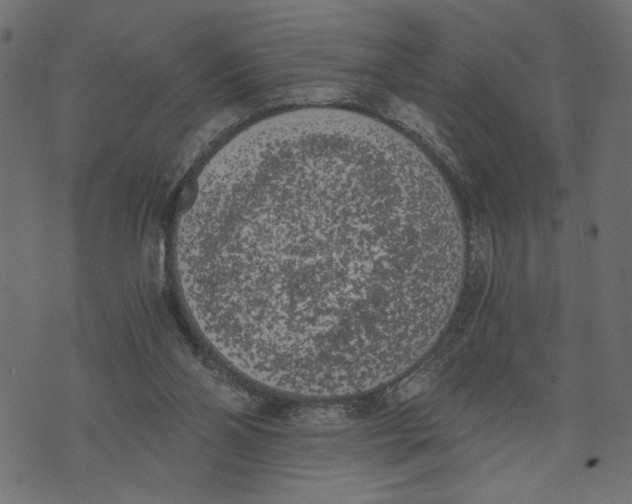 X0000072930110200608181326