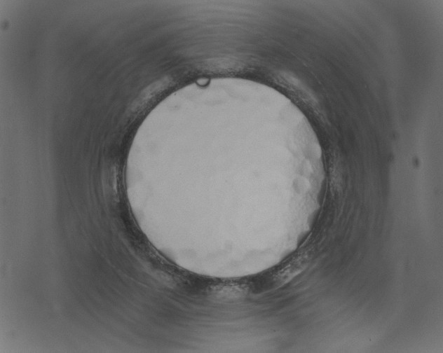 X0000072930115200608181326