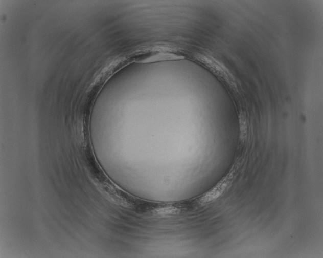 X0000072930158200608181325