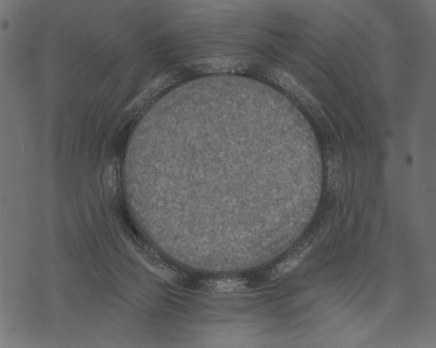 X0000072930165200608181325