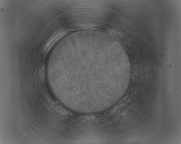 X0000072930194200608181324