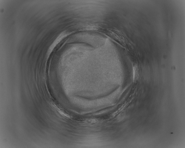 X0000072930195200608181324