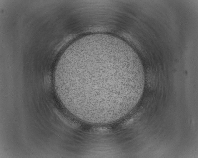 X0000072930208200608181324