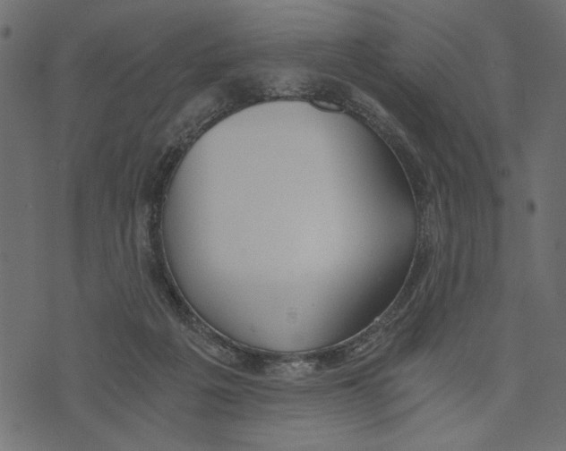 X0000072930217200608181324