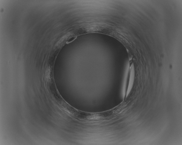 X0000072930219200608181324
