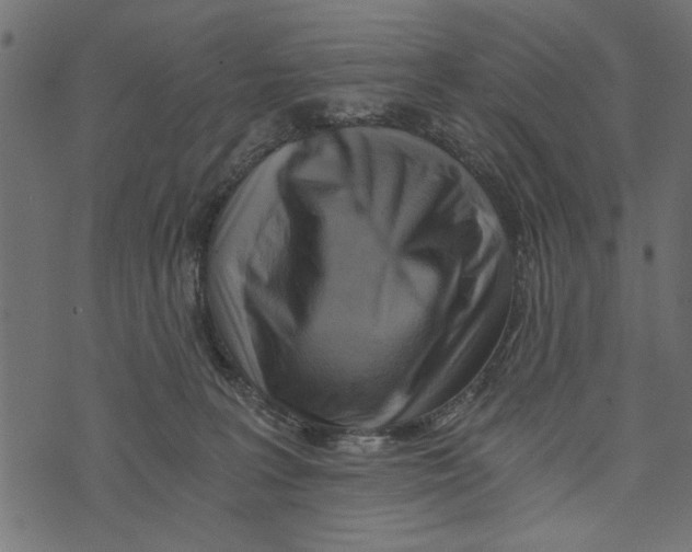 X0000072930227200608181324