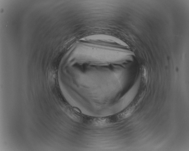 X0000072930235200608181324