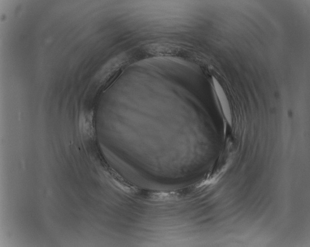 X0000072930239200608181324