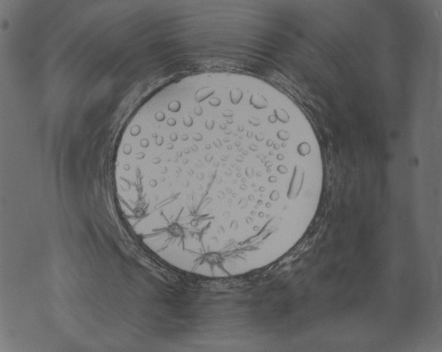 X0000072930241200608181323