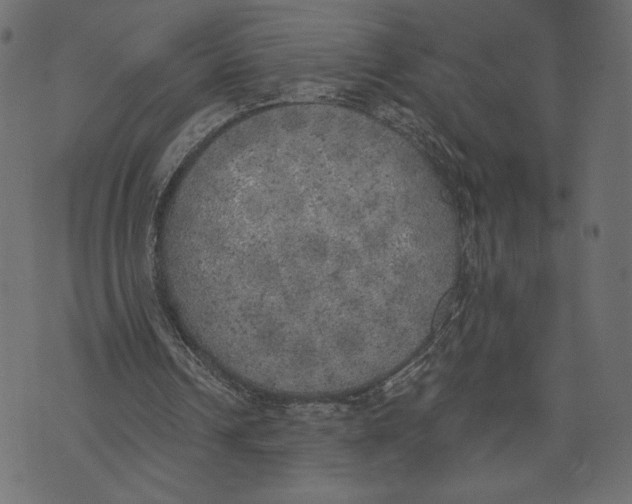 X0000072930242200608181323