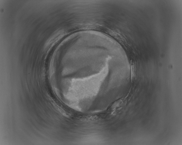 X0000072930243200608181323