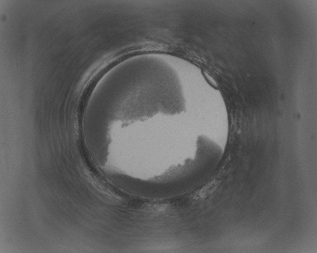 X0000072930247200608181323