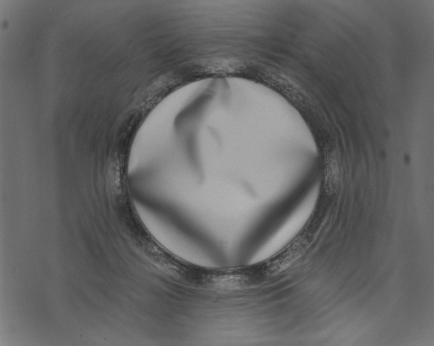 X0000072930268200608181323