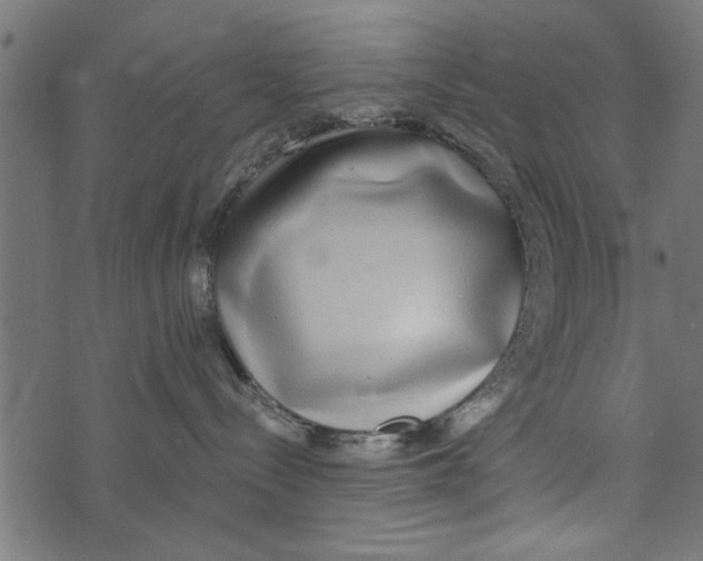 X0000072930288200608181324