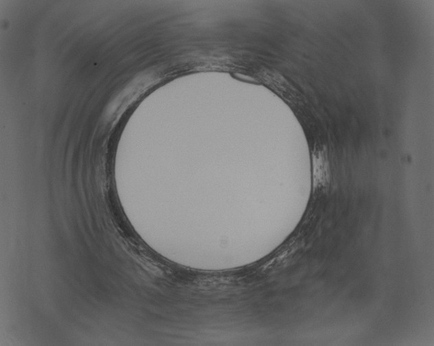 X0000072930291200608181323