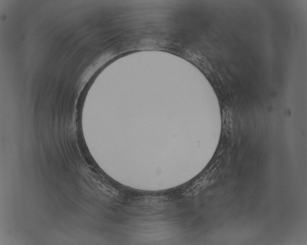 X0000072930292200608181323