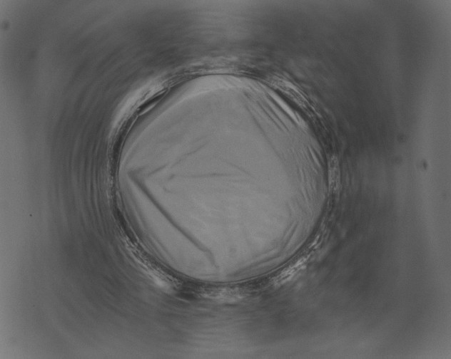 X0000072930293200608181323