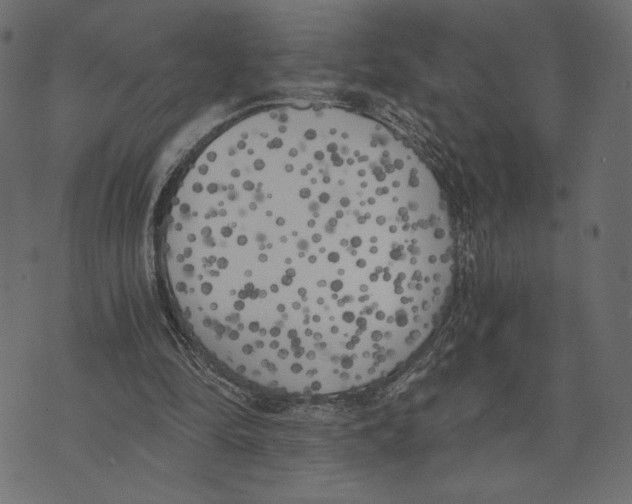 X0000072930294200608181323