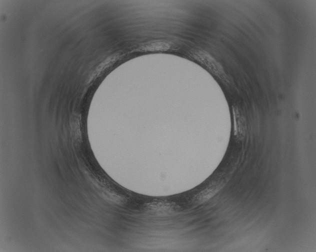 X0000072930300200608181323