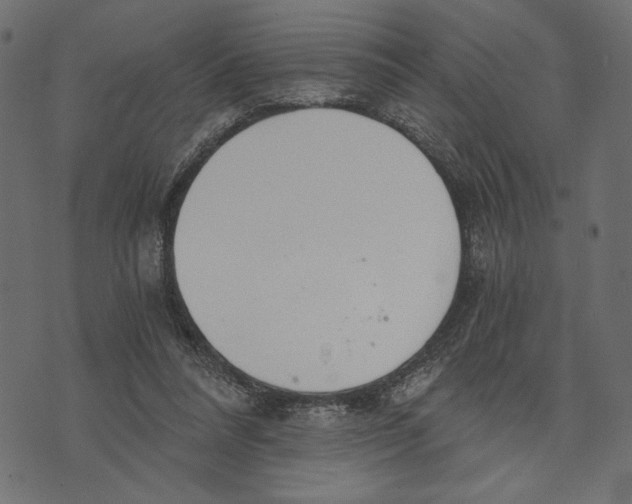 X0000072930304200608181323