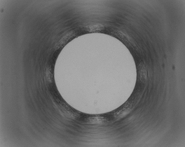 X0000072930316200608181322