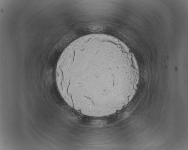 X0000072930319200608181322