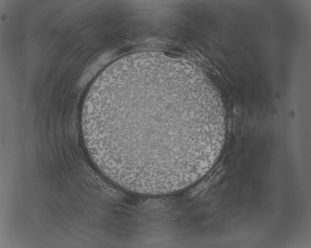 X0000072930341200608181321