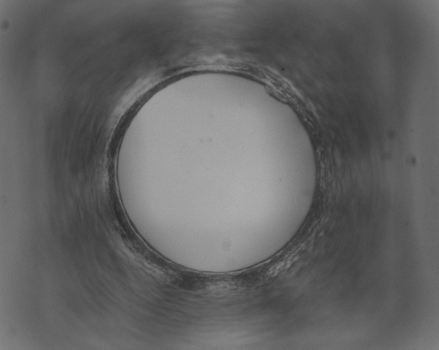 X0000072930344200608181321