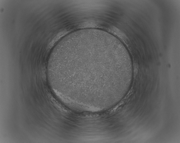 X0000072930345200608181321