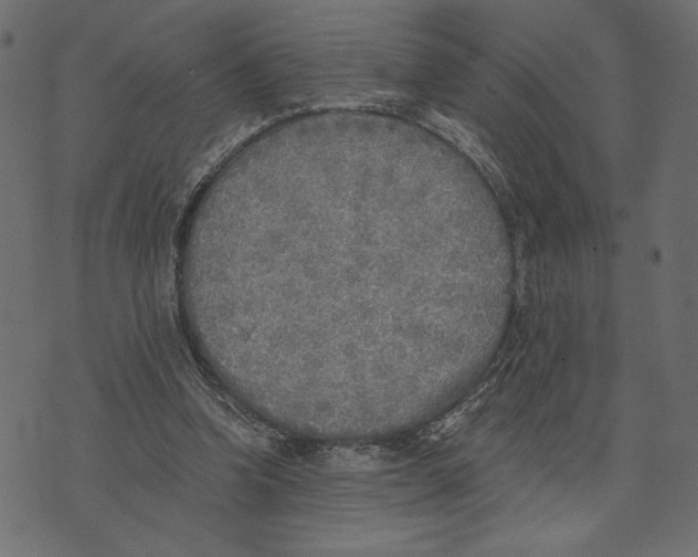X0000072930346200608181321