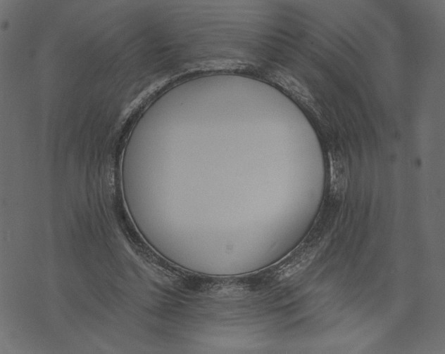 X0000072930348200608181321