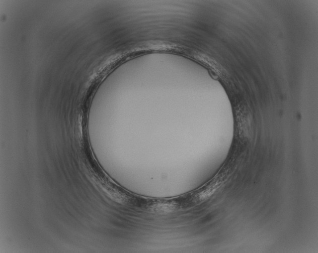 X0000072930350200608181321